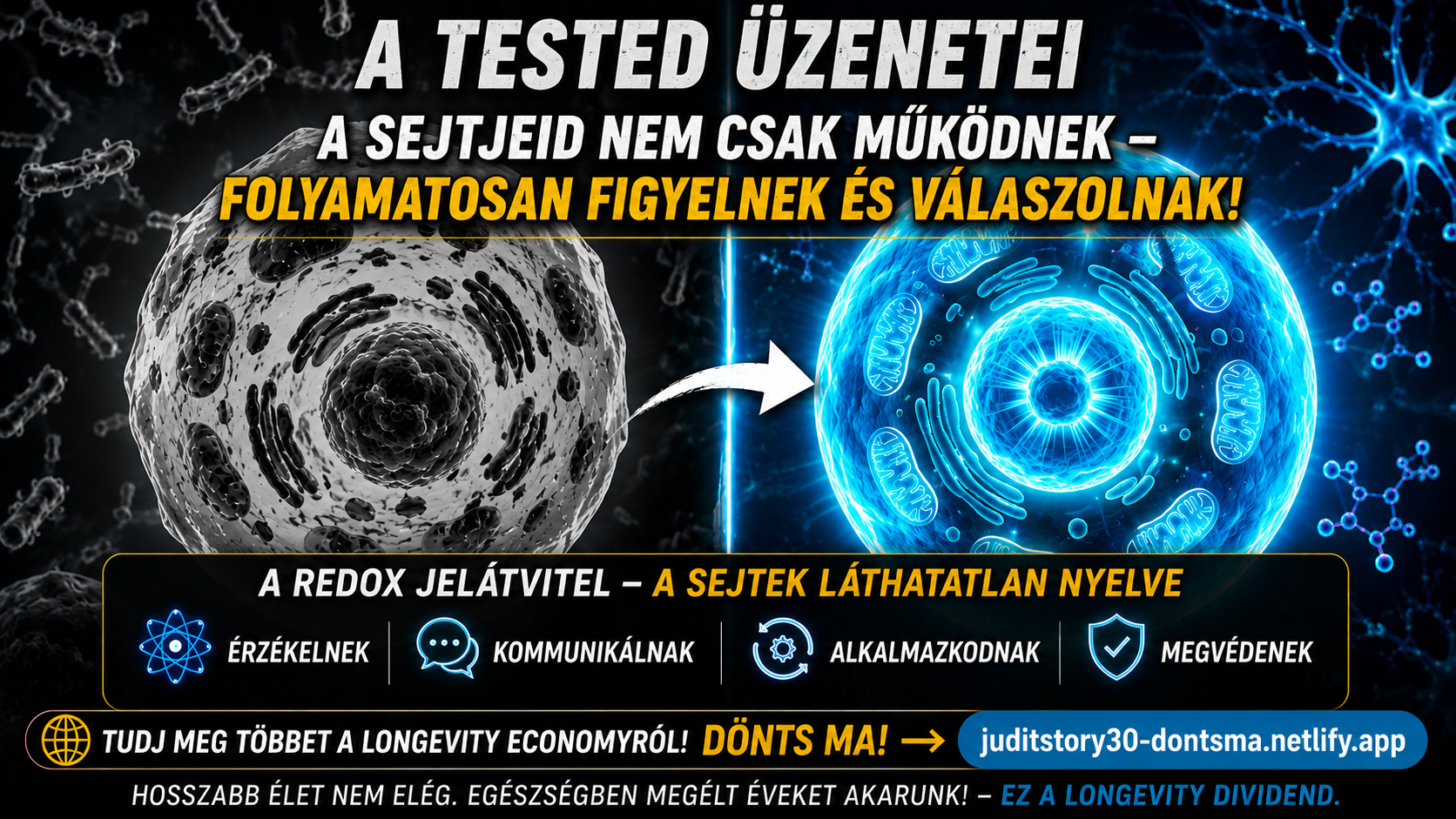 A tested üzenetei – A redox jelátvitel, a sejtek láthatatlan nyelve